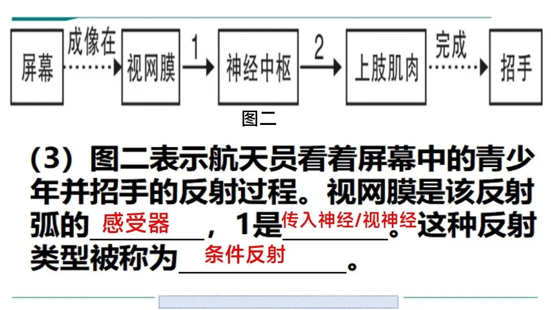 生物中考二轮复习pptx课件(共7个主题+4个专项,包括思维导图+特训之题型解读、方法技巧、专项突破等) 主题4 人体生理与健康-第17张图片-四季读书网 生物中考二轮复习pptx课件(共7个主题+4个专项,包括思维导图+特训之题型解读、方法技巧、专项突破等) 主题4 人体生理与健康-第17张图片-四季读书网