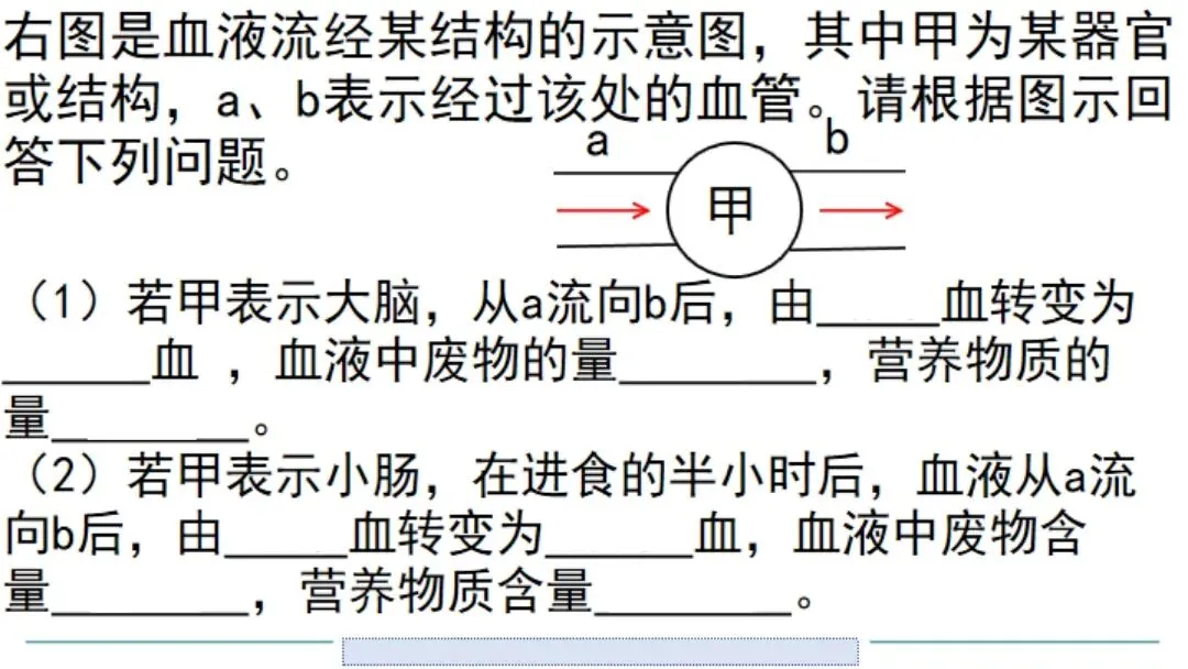 生物中考二轮复习pptx课件(共7个主题+4个专项,包括思维导图+特训之题型解读、方法技巧、专项突破等) 主题4 人体生理与健康-第18张图片-四季读书网 生物中考二轮复习pptx课件(共7个主题+4个专项,包括思维导图+特训之题型解读、方法技巧、专项突破等) 主题4 人体生理与健康-第18张图片-四季读书网
