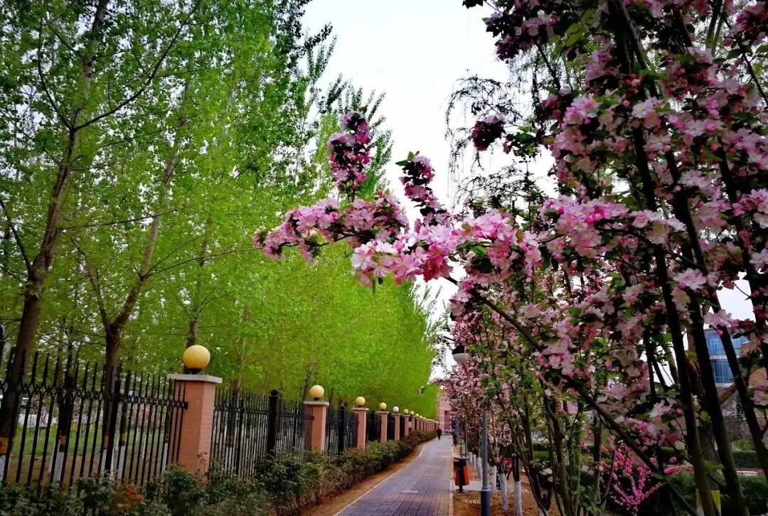 27历史学考研院校考情丨中国社会科学院大学招生人数丨分数线丨历年丨参考书目-第5张图片-四季读书网