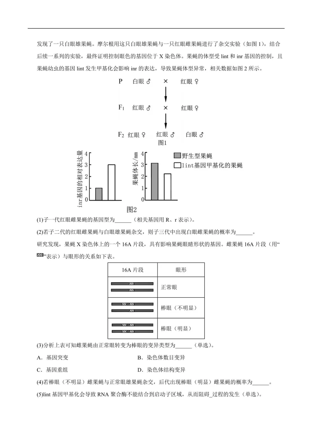 2026年上海高一生物下册期末真题汇编(附解析)-第4张图片-四季读书网 2026年上海高一生物下册期末真题汇编(附解析)-第4张图片-四季读书网