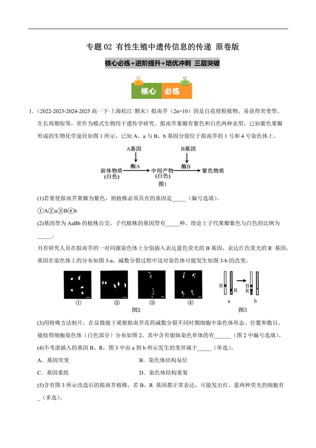 2026年上海高一生物下册期末真题汇编(附解析)-第6张图片-四季读书网 2026年上海高一生物下册期末真题汇编(附解析)-第6张图片-四季读书网