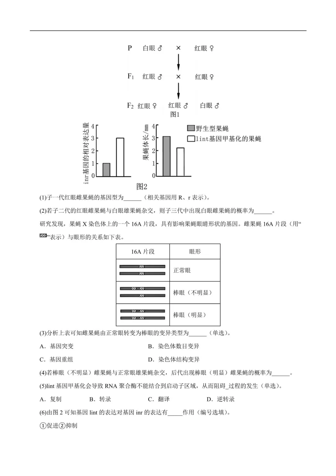 2026年上海高一生物下册期末真题汇编(附解析)-第9张图片-四季读书网 2026年上海高一生物下册期末真题汇编(附解析)-第9张图片-四季读书网