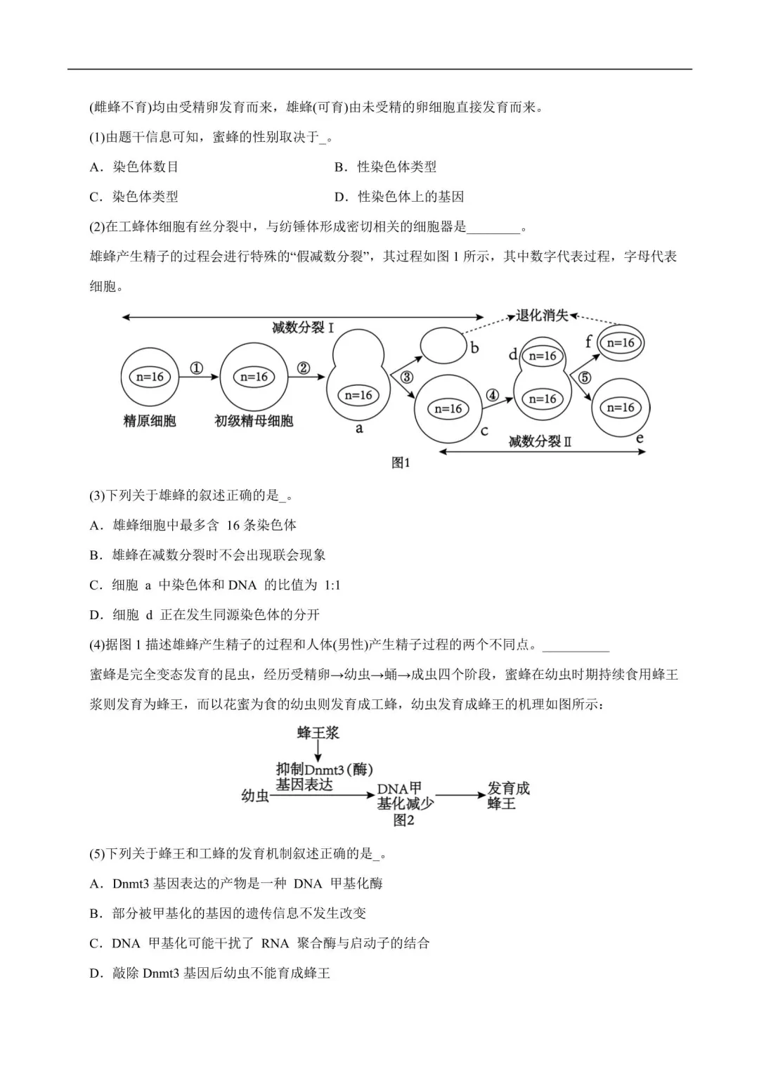 2026年上海高一生物下册期末真题汇编(附解析)-第12张图片-四季读书网 2026年上海高一生物下册期末真题汇编(附解析)-第12张图片-四季读书网
