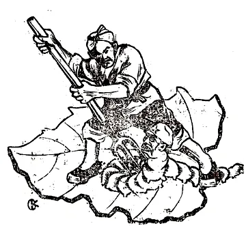 中考冲刺:中考历史选择题提分指南-第74张图片-四季读书网 中考冲刺:中考历史选择题提分指南-第74张图片-四季读书网