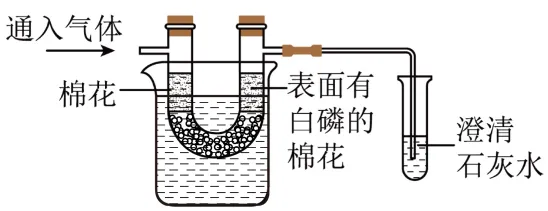 11.中考模拟|2026年河北石家庄市中考二模化学试题-第15张图片-四季读书网