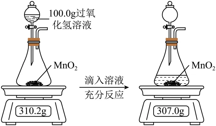 11.中考模拟|2026年河北石家庄市中考二模化学试题-第48张图片-四季读书网
