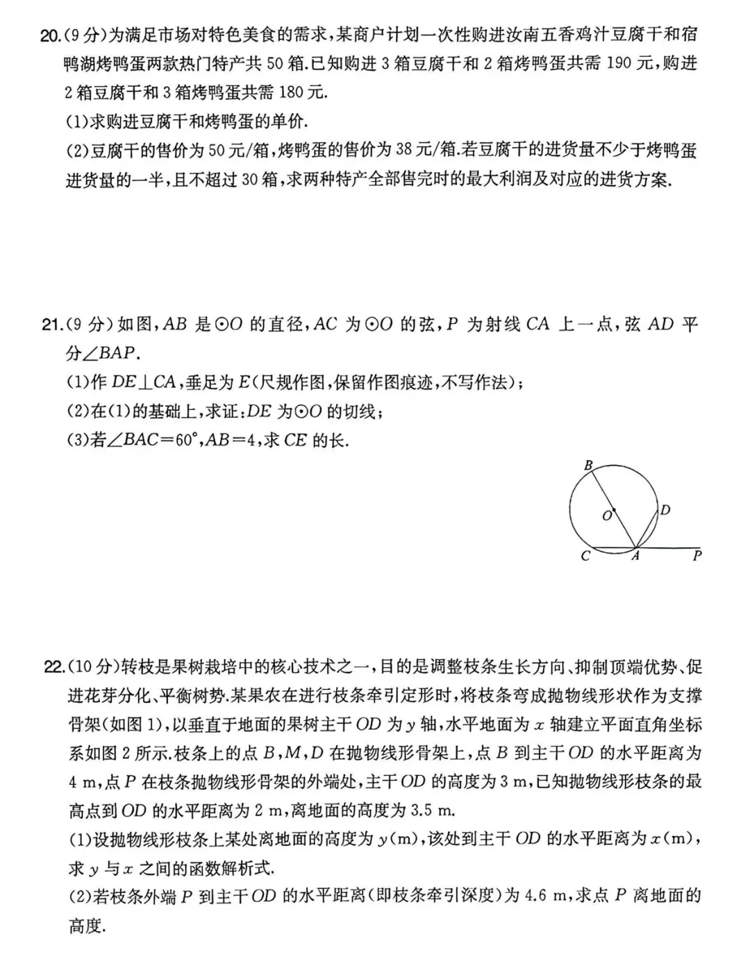 2026《河南中考•一本模拟考试卷》7科-第2张图片-四季读书网