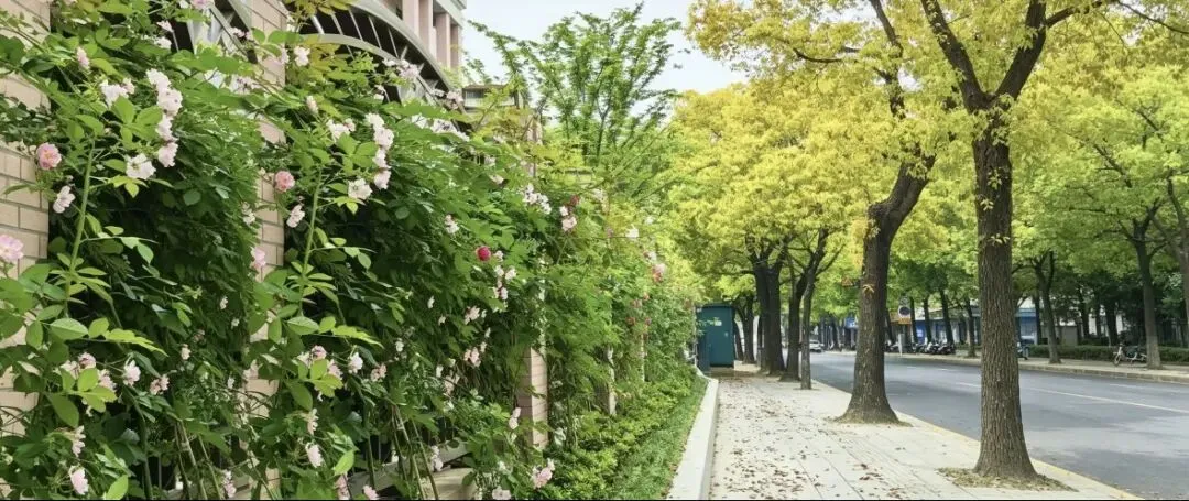 中考之前,写给女儿-第11张图片-四季读书网