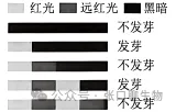北京市西城区2026年高三模拟测试试卷生物学试题答案及解析 ⊙-第5张图片-四季读书网