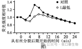北京市西城区2026年高三模拟测试试卷生物学试题答案及解析 ⊙-第8张图片-四季读书网