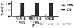 北京市西城区2026年高三模拟测试试卷生物学试题答案及解析 ⊙-第15张图片-四季读书网