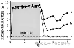 北京市西城区2026年高三模拟测试试卷生物学试题答案及解析 ⊙-第17张图片-四季读书网
