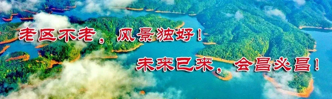 关于2026年高考、中考期间公交客运班次临时调整及爱心送考服务的公告-第4张图片-四季读书网
