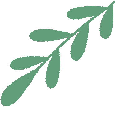 活动速报|精研真题明方向 聚力备考启新程 ——2025-2026 学年第二学期中考研讨会-第5张图片-四季读书网