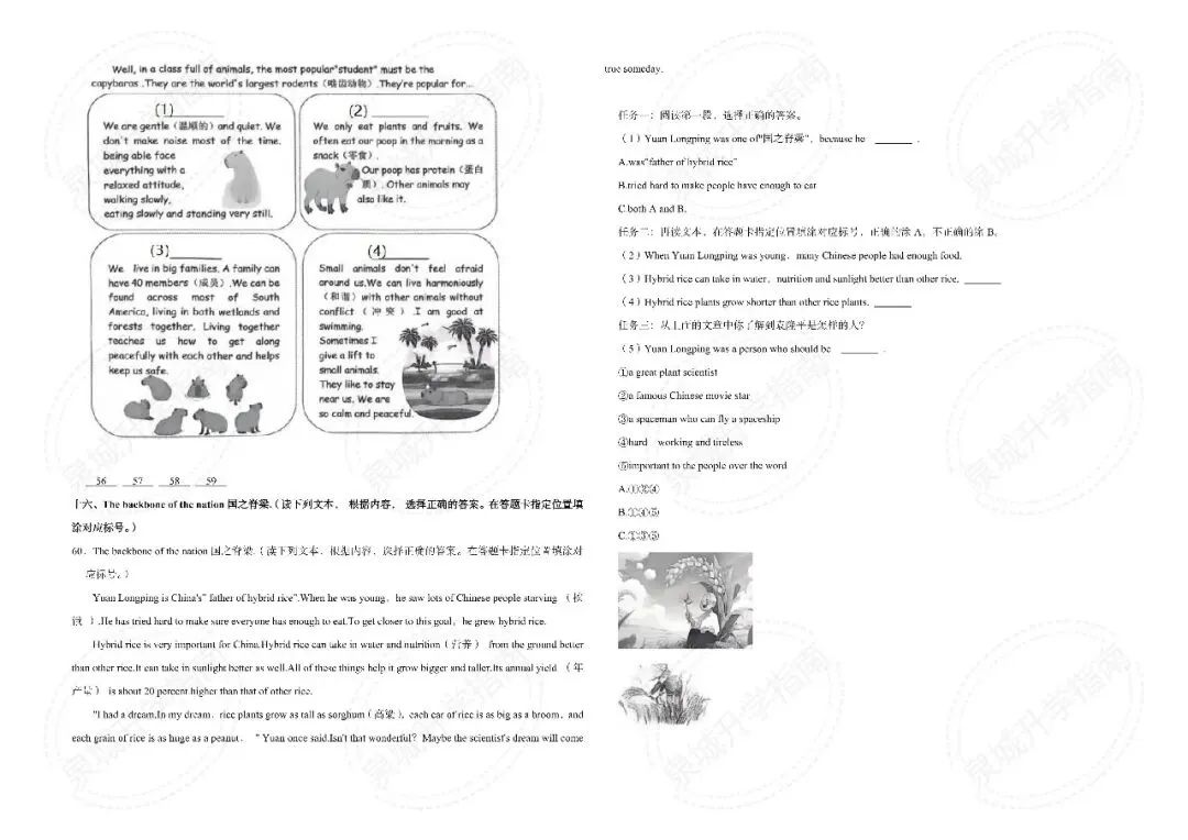 【济南小升初】2025 六年级英语期末真题-第12张图片-四季读书网