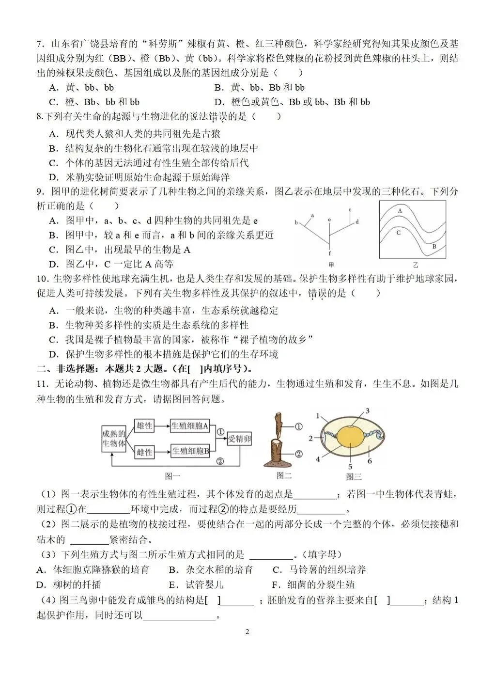 【中考生物】2025-2026学年中考冲刺主题六-遗传与进化B卷+答案-第2张图片-四季读书网