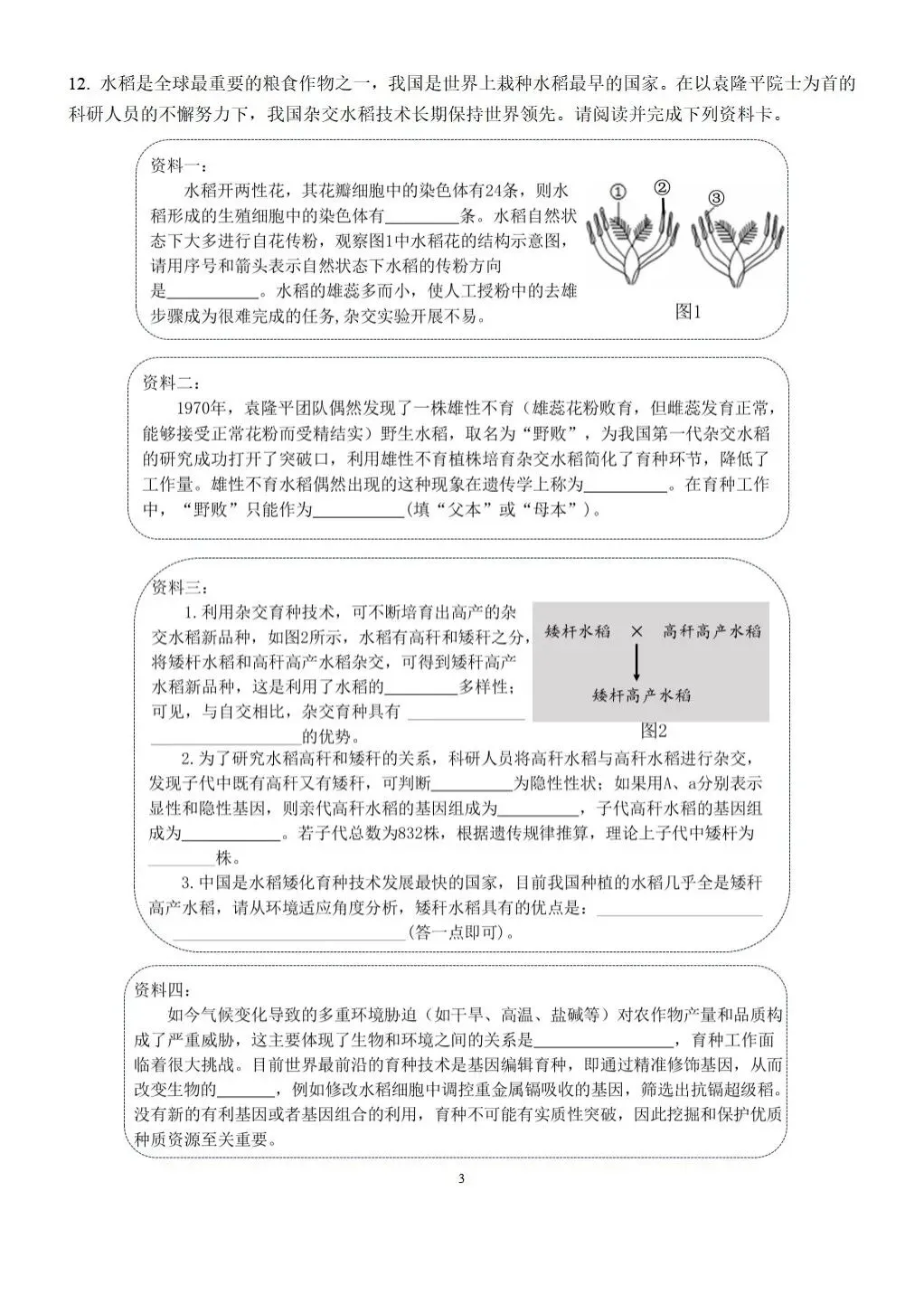 【中考生物】2025-2026学年中考冲刺主题六-遗传与进化B卷+答案-第3张图片-四季读书网