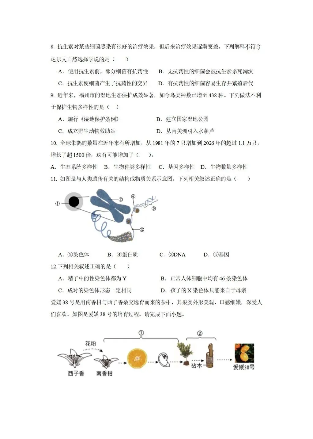 【中考生物】2025-2026学年中考冲刺主题六-遗传与进化A卷+答案-第2张图片-四季读书网