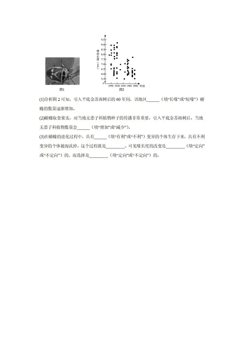 【中考生物】2025-2026学年中考冲刺主题六-遗传与进化A卷+答案-第4张图片-四季读书网