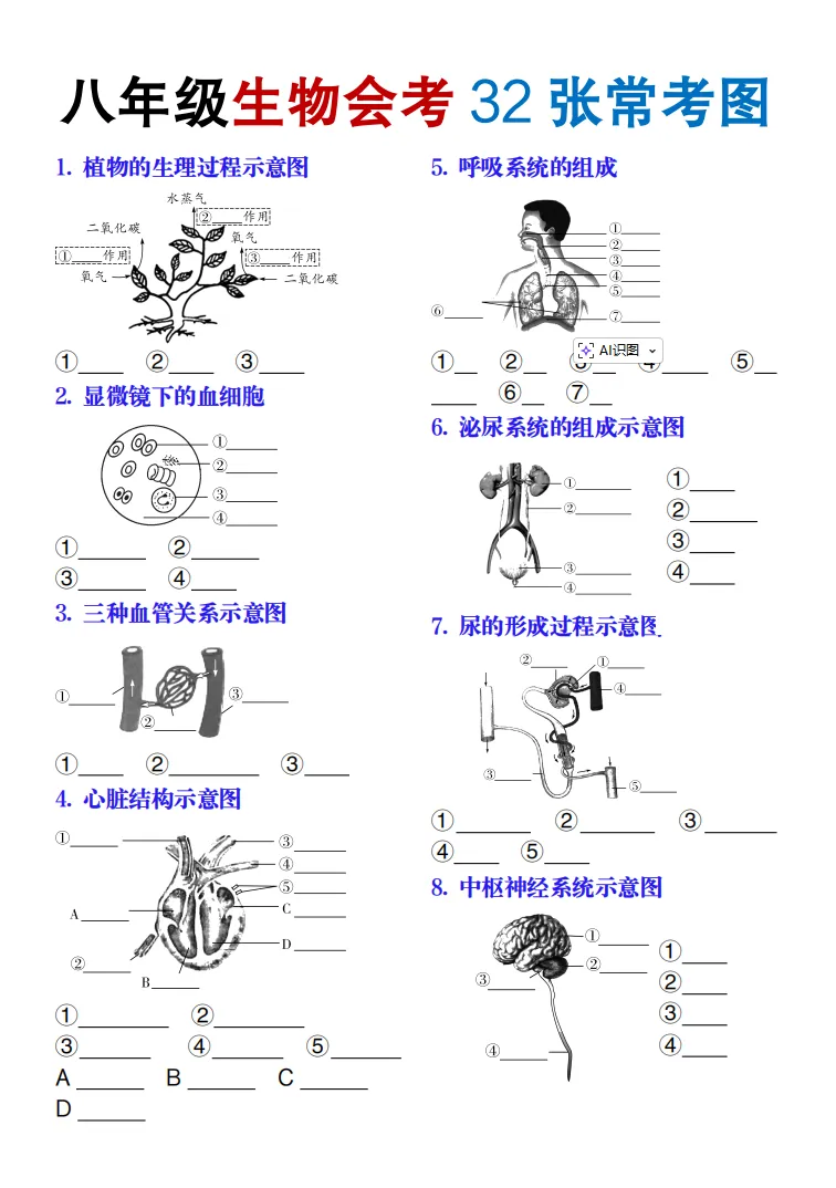 2026上海初中会考预测卷+历年真题+必背知识点汇总【地理/科学/生物】-第16张图片-四季读书网