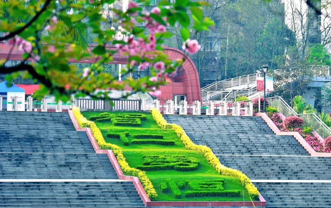 重庆市兼善中学高考及中考调休致家长和学生的一封信-第62张图片-四季读书网
