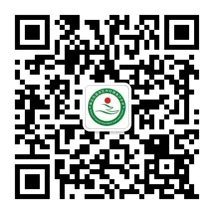 【崇德尚学 和雅金中】深耕模考定方向,凝心聚力战中考——金沙中学2026年初三市模总结暨中考冲刺动员大会-第29张图片-四季读书网