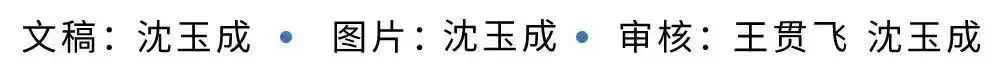 【助力中考】2026年中考数学考前指导-第24张图片-四季读书网