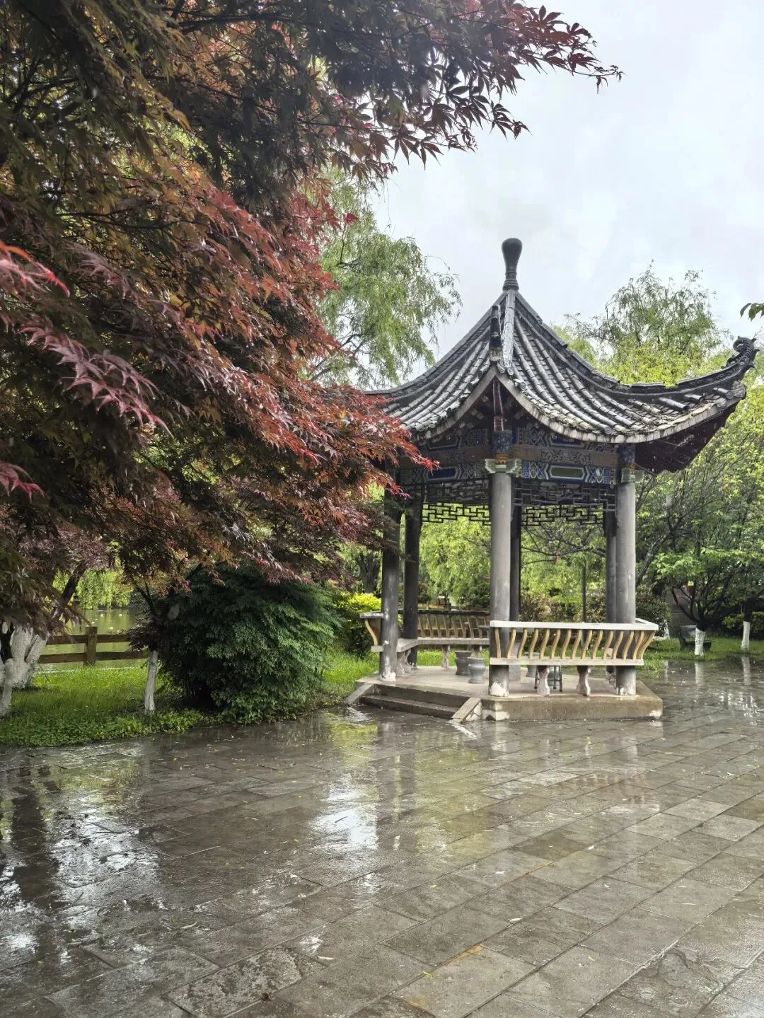 亲子陪伴小思5:中考志愿,为何我们坚定地选择市三中-第1张图片-四季读书网