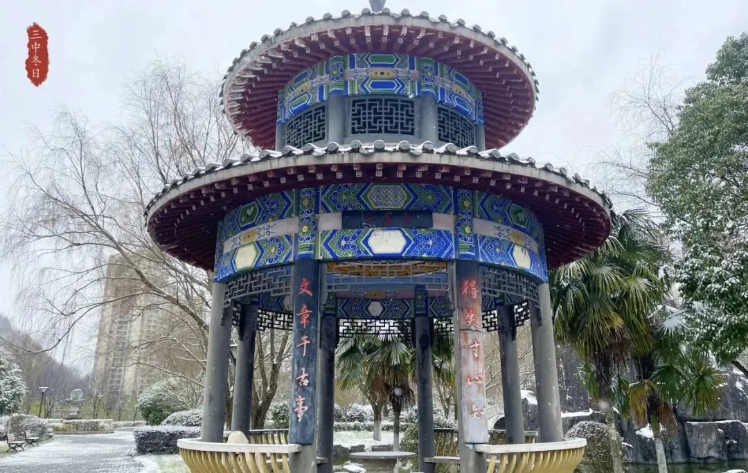 亲子陪伴小思5:中考志愿,为何我们坚定地选择市三中-第2张图片-四季读书网