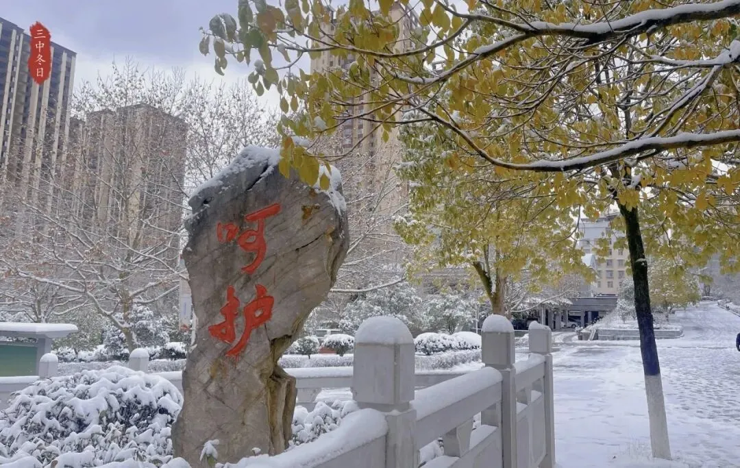 亲子陪伴小思5:中考志愿,为何我们坚定地选择市三中-第3张图片-四季读书网