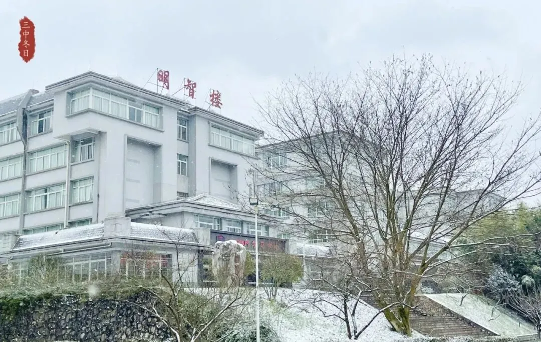亲子陪伴小思5:中考志愿,为何我们坚定地选择市三中-第4张图片-四季读书网
