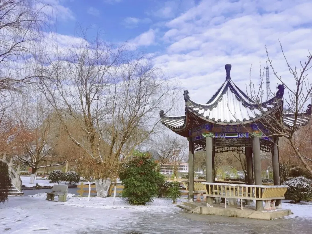 亲子陪伴小思5:中考志愿,为何我们坚定地选择市三中-第5张图片-四季读书网