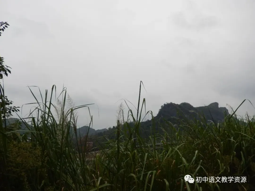 中考成语运用选择题精选-第1张图片-四季读书网