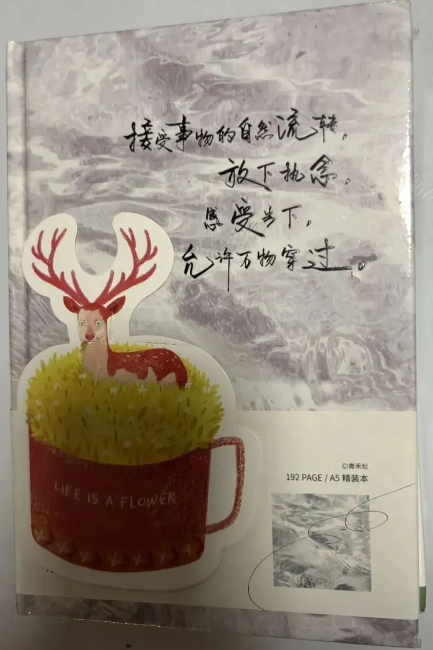 距中考9天-第4张图片-四季读书网