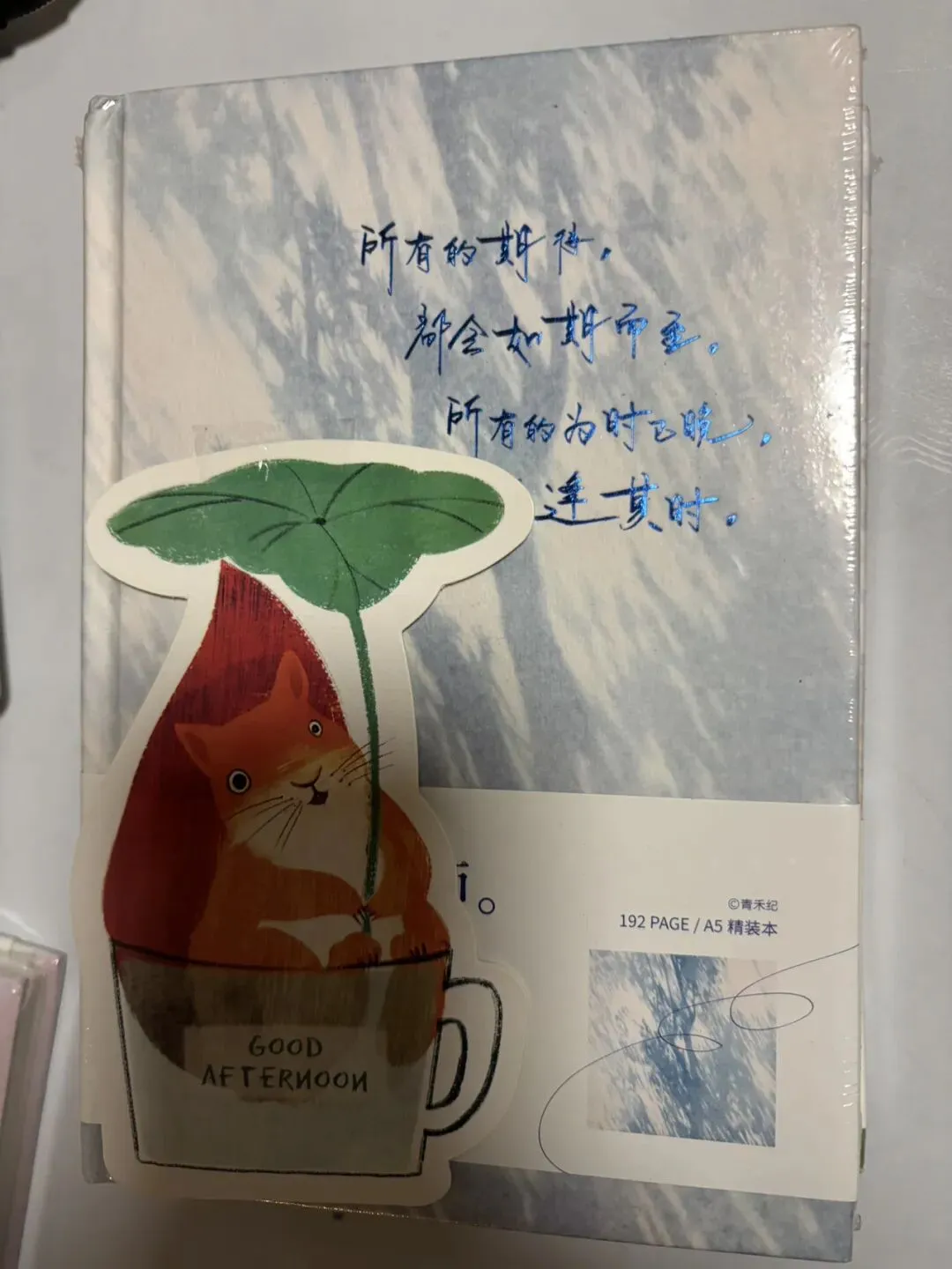 距中考9天-第5张图片-四季读书网