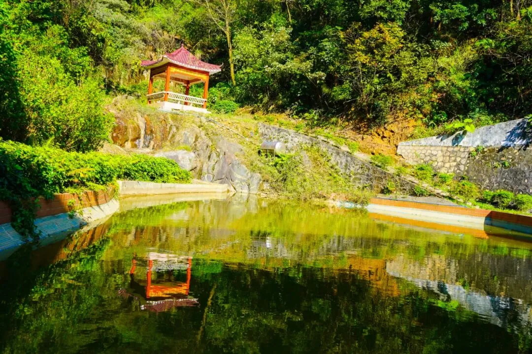 中考志愿填报即将结束!广州涉外中职部周末开放日邀您探校!-第9张图片-四季读书网