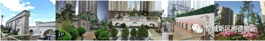 关于2026年高考、中考期间机动车限行的通知-第2张图片-四季读书网