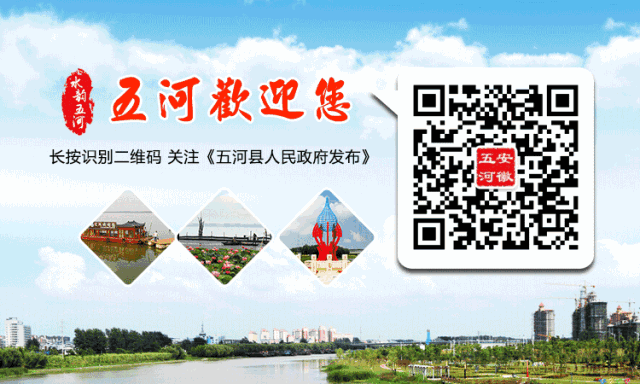 关于2026年高考中考期间通信信号管控的通告-第7张图片-四季读书网