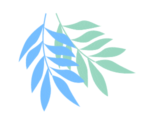【阳光十六中·转发】中考体育项目及体质抽测项目赋分及加分标准-第8张图片-四季读书网