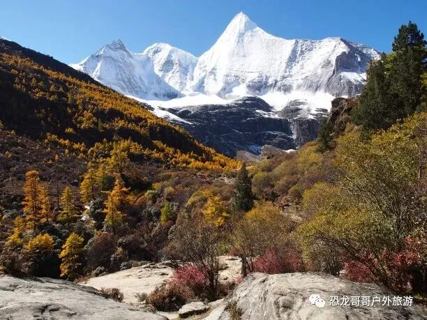 【恐龙哥哥独家线路】6月17日中考后第一游:云南大理、宝山石头城、丽江、香格里拉、稻城亚丁、虎跳峡、泸沽湖、双飞精品小团纯玩8日游-第7张图片-四季读书网