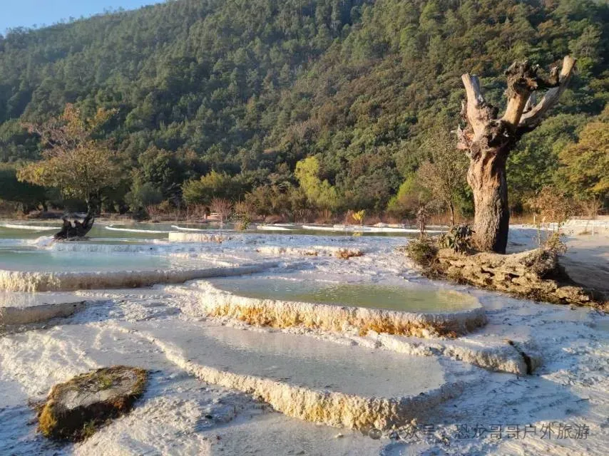 【恐龙哥哥独家线路】6月17日中考后第一游:云南大理、宝山石头城、丽江、香格里拉、稻城亚丁、虎跳峡、泸沽湖、双飞精品小团纯玩8日游-第17张图片-四季读书网