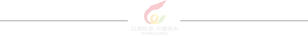 杨祖斌郭金桥杜林督导检查高考中考备考工作-第4张图片-四季读书网