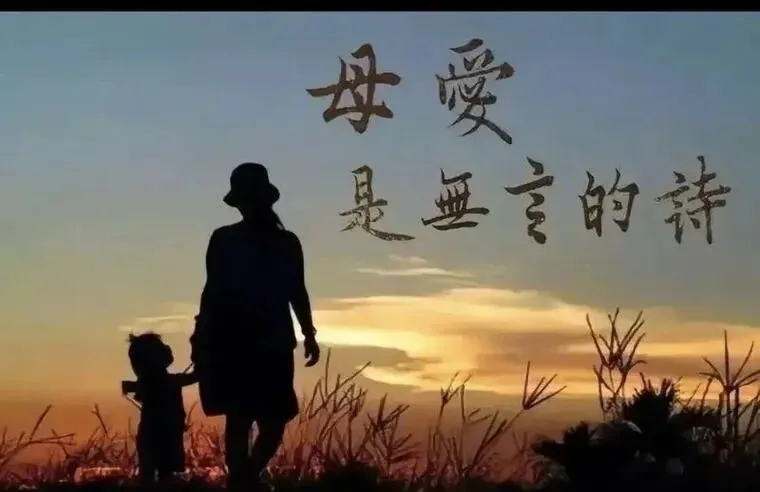 孩子快中考,我终于明白:比成绩更重要的是接住他的情绪-第2张图片-四季读书网