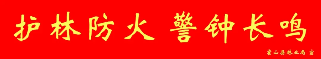 重磅官宣!事关中考...-第3张图片-四季读书网