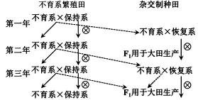试题精选║安徽省合肥一中2026届高三5月模拟考试生物学试题-第4张图片-四季读书网