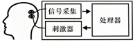 试题精选║安徽省合肥一中2026届高三5月模拟考试生物学试题-第7张图片-四季读书网