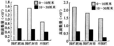 试题精选║安徽省合肥一中2026届高三5月模拟考试生物学试题-第13张图片-四季读书网