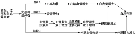 试题精选║安徽省合肥一中2026届高三5月模拟考试生物学试题-第14张图片-四季读书网