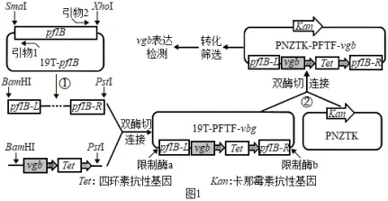 试题精选║安徽省合肥一中2026届高三5月模拟考试生物学试题-第16张图片-四季读书网