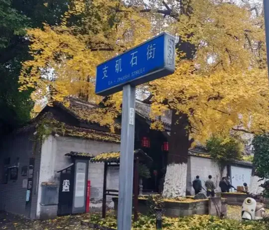 中考可能出现的地域性内容之君平街-第1张图片-四季读书网